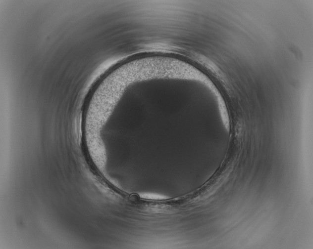 X0000111891323200908131646