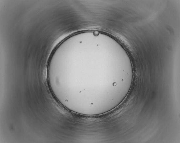 X0000111891324200908131646