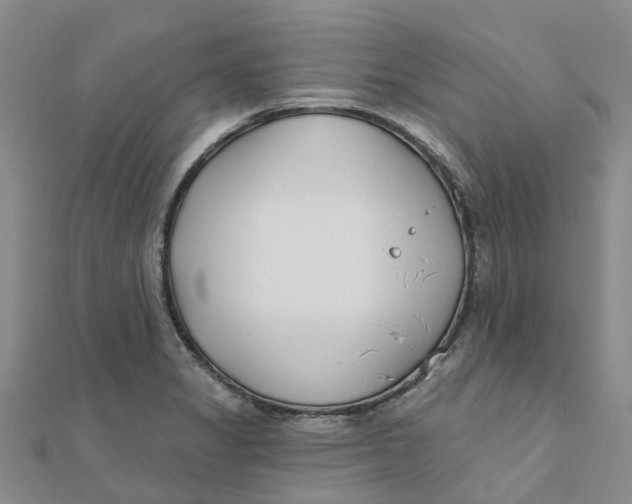 X0000111891325200908131646