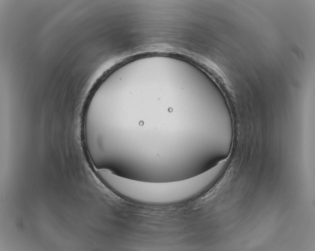 X0000111891326200908131646