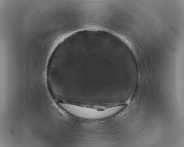 X0000111891327200908131646