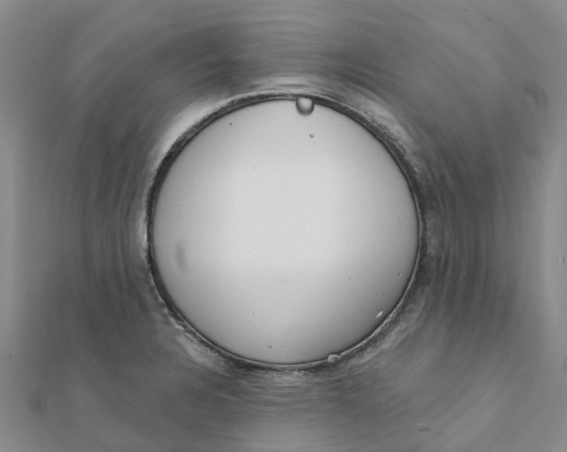 X0000111891328200908131646