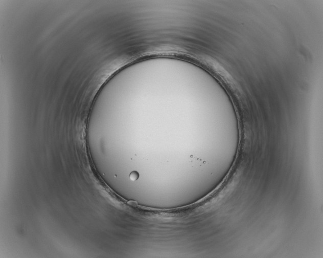 X0000111891329200908131646