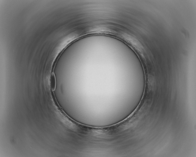 X0000111891330200908131646