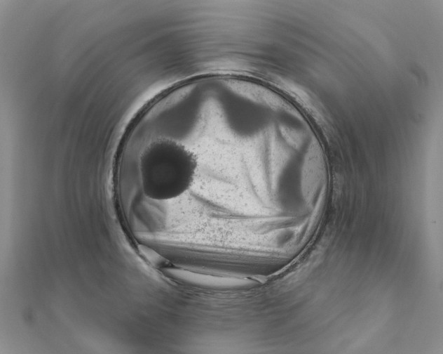 X0000111891331200908131646