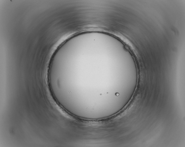 X0000111891333200908131646