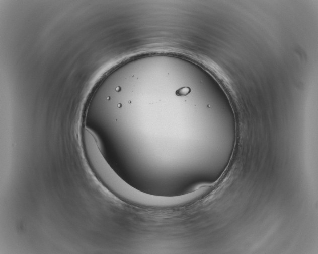 X0000111891334200908131646