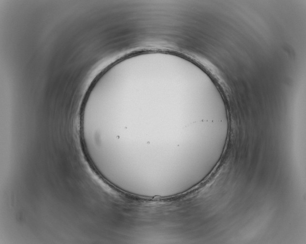 X0000111891335200908131646