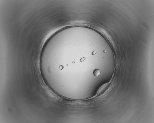 X0000111891336200908131646