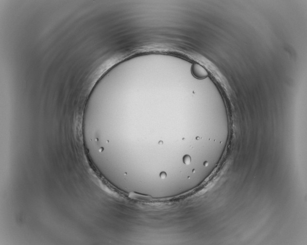 X0000111891337200908131646