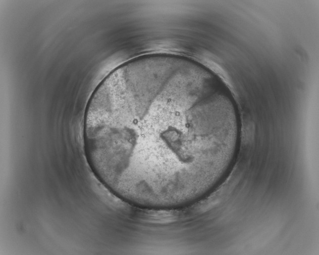 X0000111891338200908131646