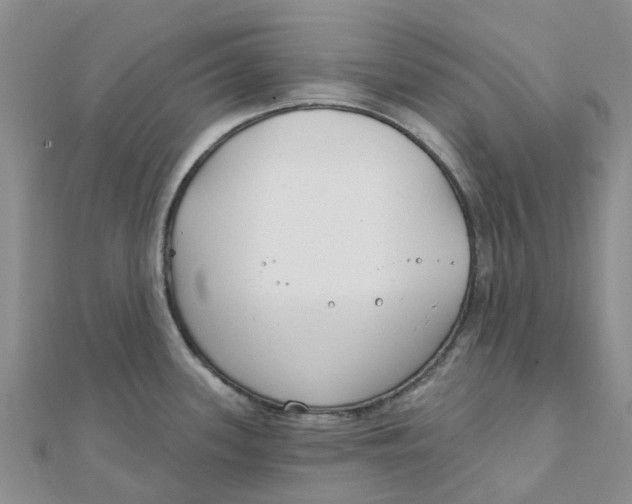 X0000111891339200908131646