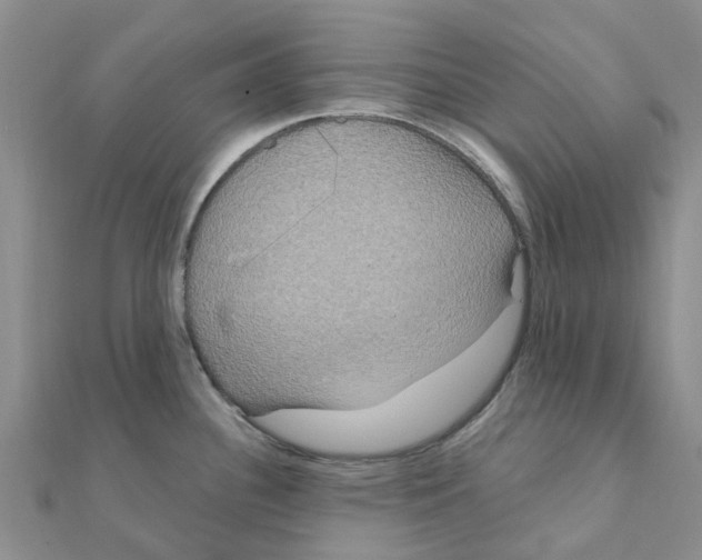 X0000111891340200908131646