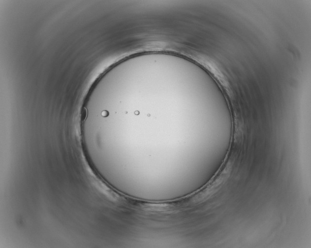 X0000111891342200908131646