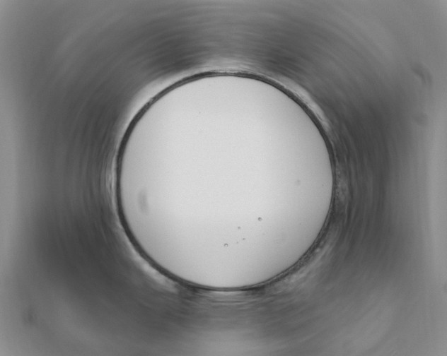 X0000111891343200908131646