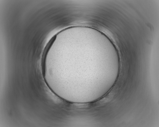 X0000111891344200908131646