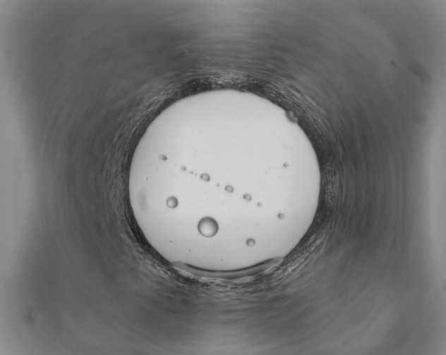 X0000111891345200908131646