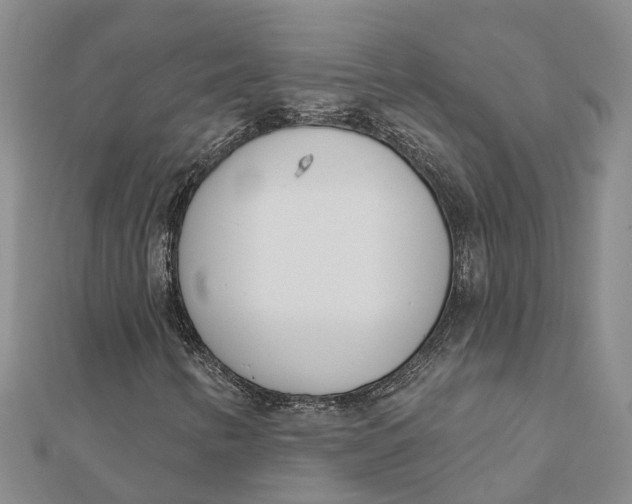 X0000111891346200908131646