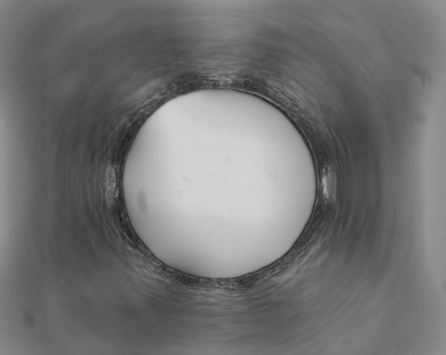 X0000111891347200908131646