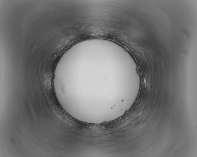 X0000111891348200908131646