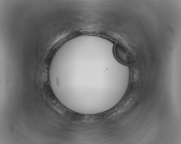 X0000111891350200908131646