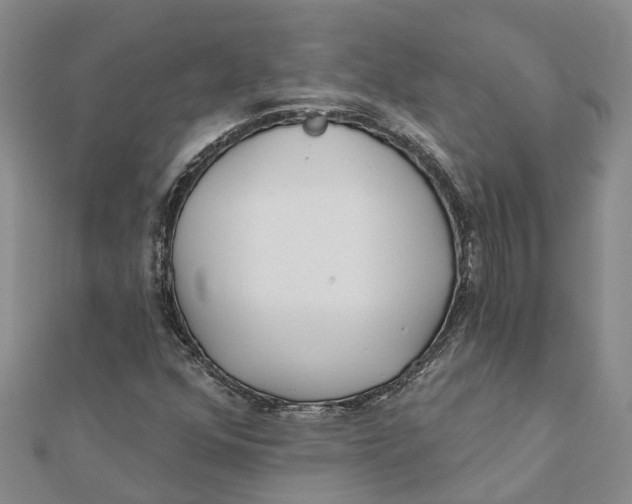 X0000111891352200908131646