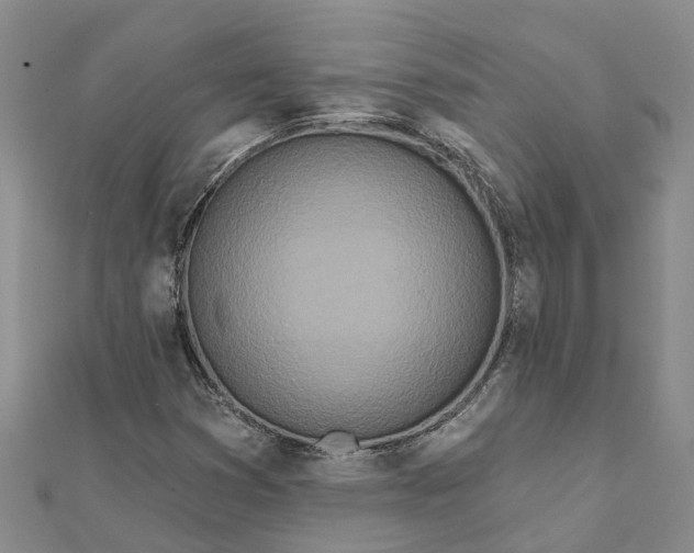 X0000111891353200908131646