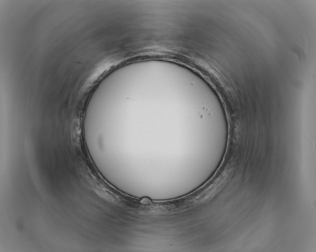 X0000111891355200908131646