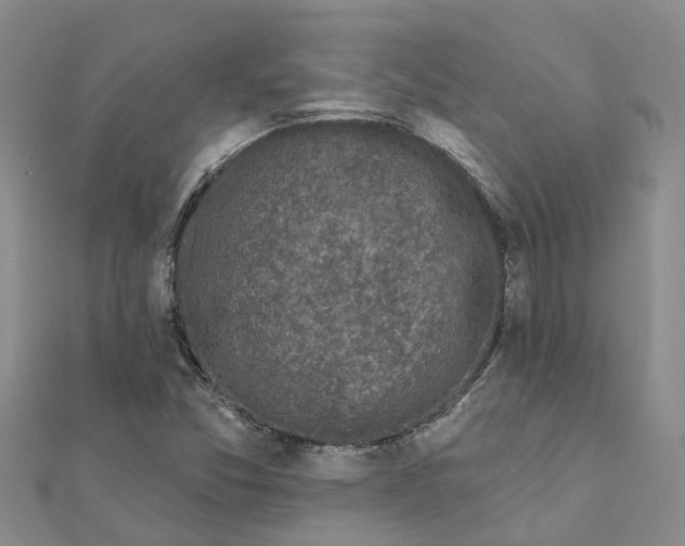 X0000111891357200908131646