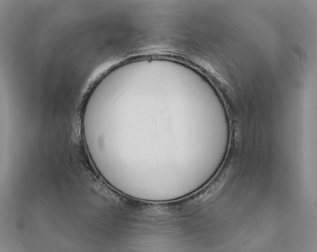 X0000111891358200908131646