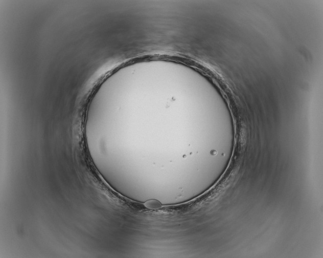 X0000111891359200908131646