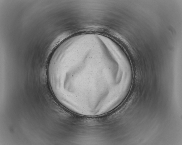 X0000111891362200908131645