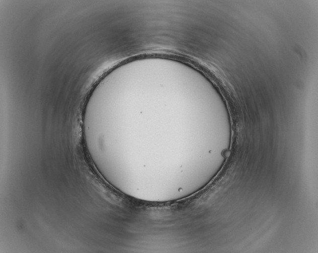 X0000111891363200908131645