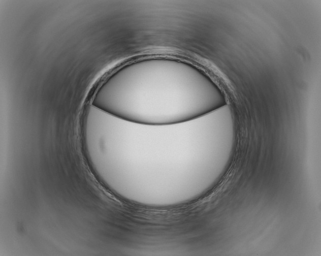 X0000111891364200908131645