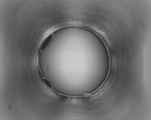 X0000111891365200908131645