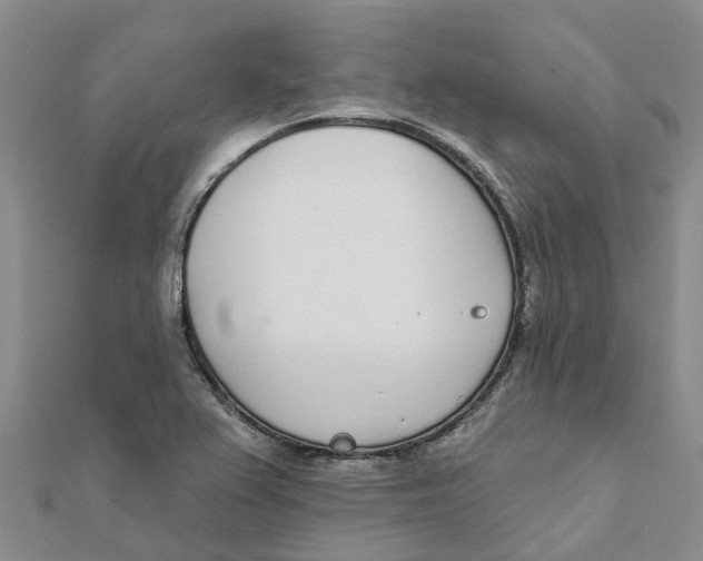 X0000111891367200908131645