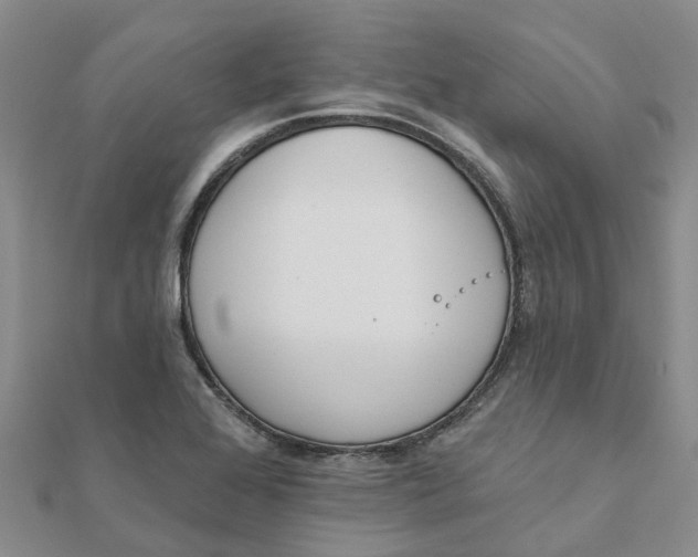 X0000111891368200908131645