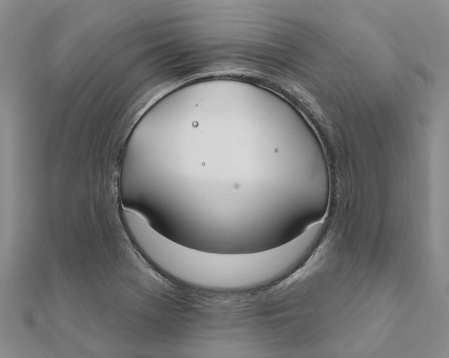 X0000111891369200908131645