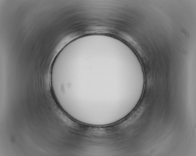 X0000111891370200908131645