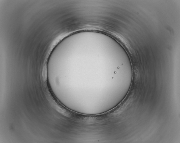 X0000111891371200908131645