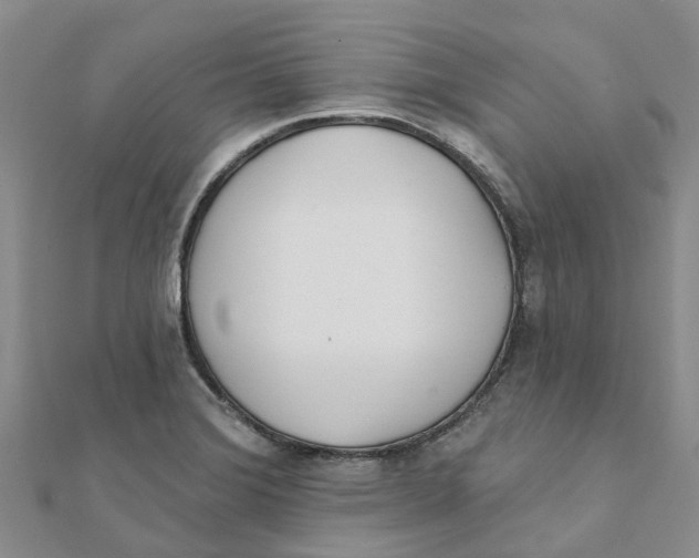 X0000111891372200908131645