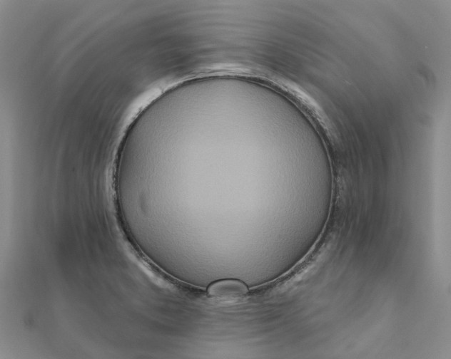 X0000111891373200908131645