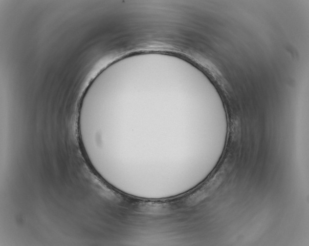 X0000111891374200908131645