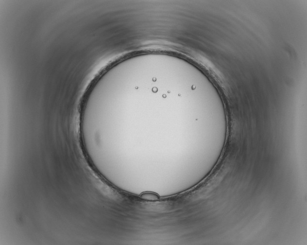 X0000111891376200908131645