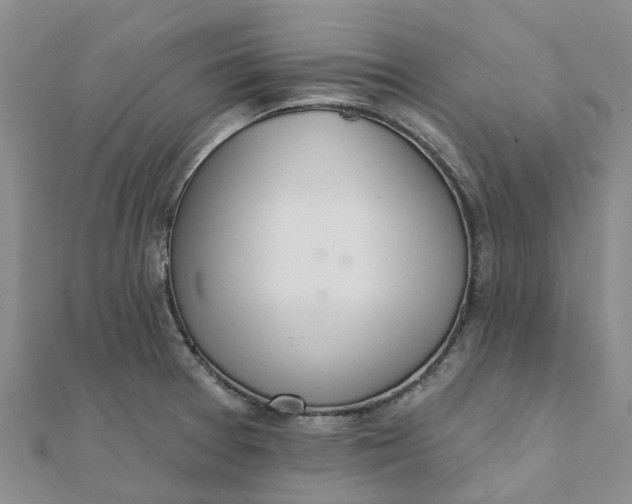 X0000111891377200908131645