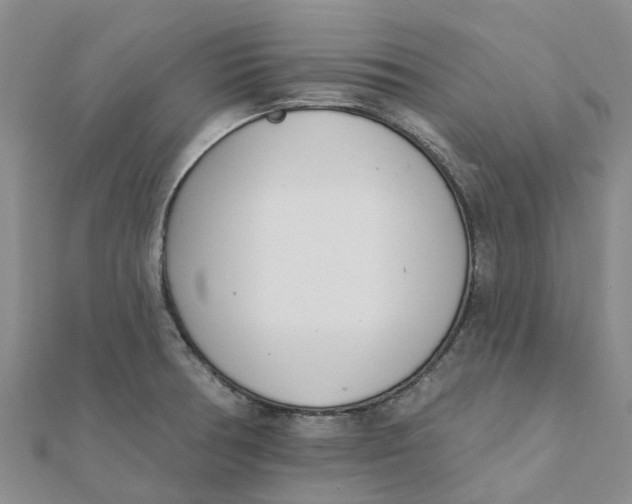 X0000111891378200908131645