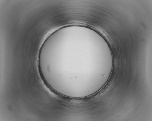 X0000111891379200908131645