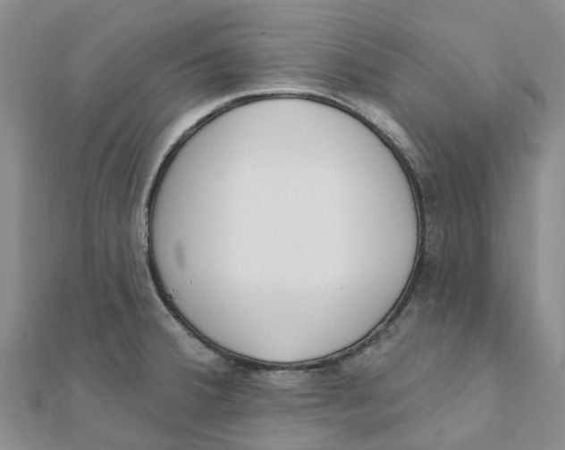 X0000111891380200908131645