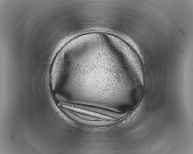 X0000111891381200908131645