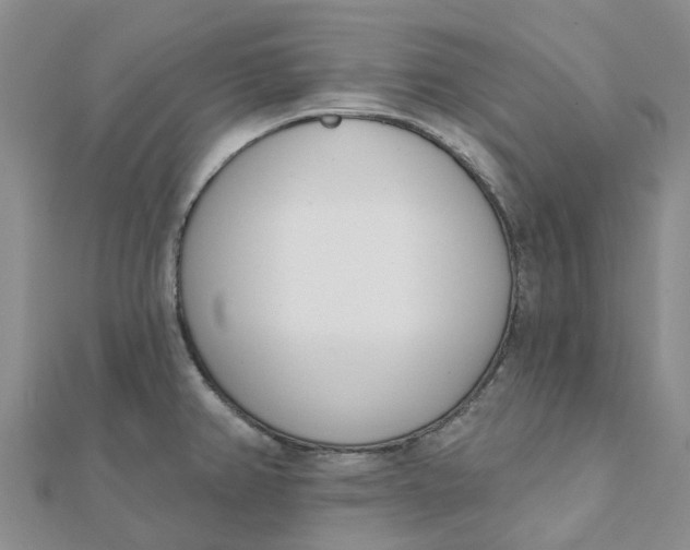 X0000111891382200908131645